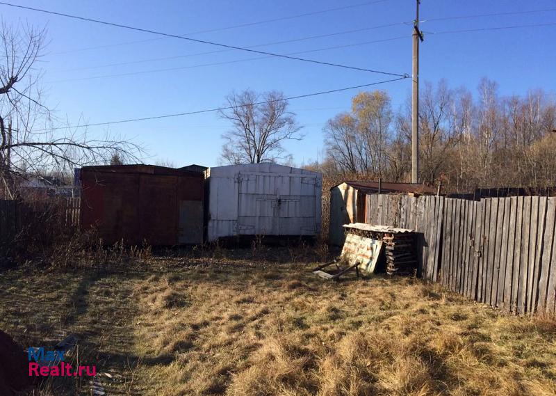 Биробиджан Еврейская автономная область, Биробиджанский район, село Раздольное, Тихонькая улица, 1 частные дома