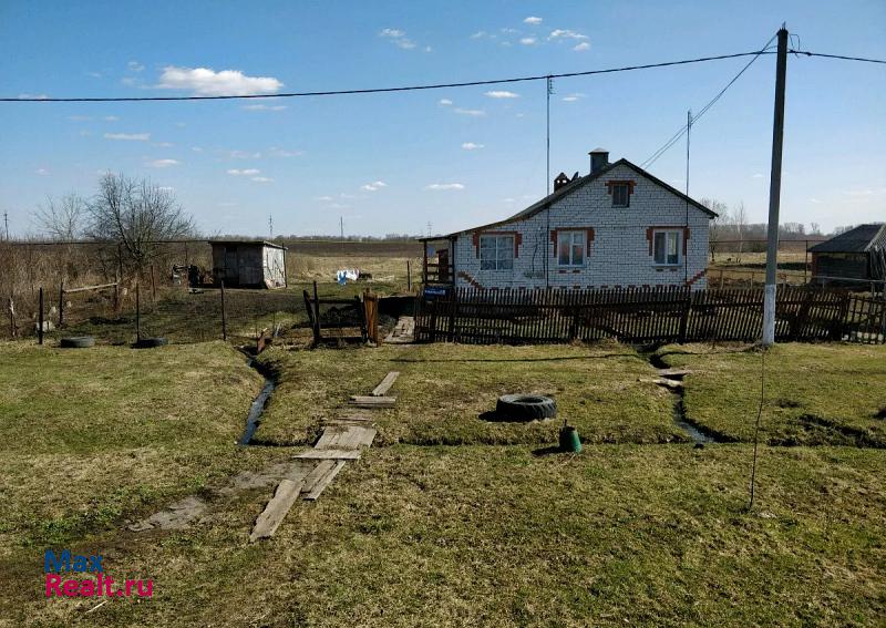 Платоновка село Платоновка, улица Знаменка продажа частного дома