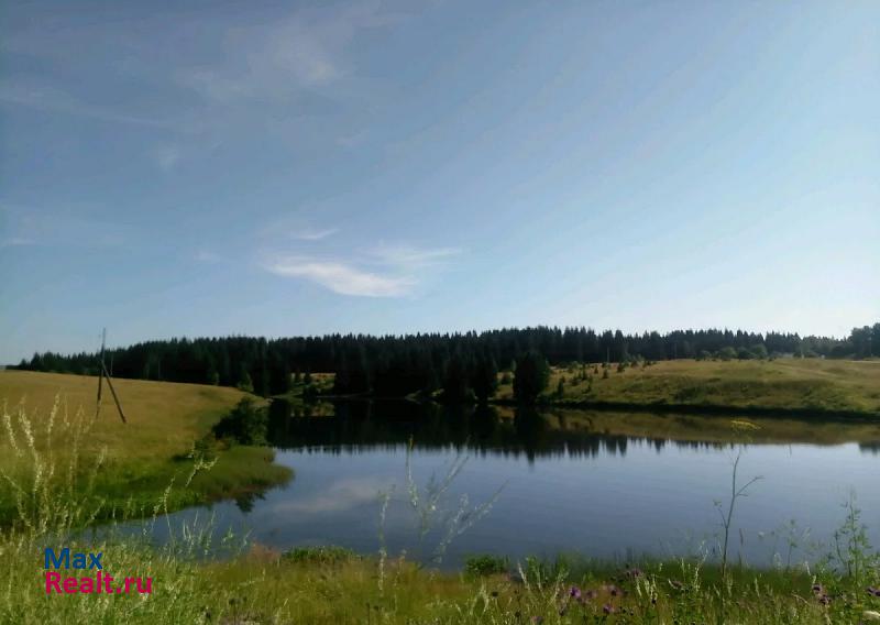 Березовка село, Лысьвенский городской округ, Новорождественское продажа частного дома