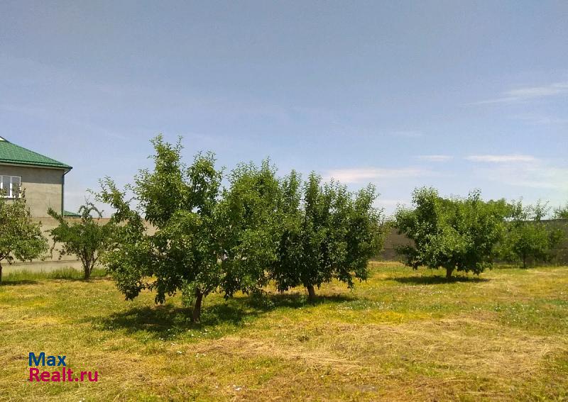 Шалушка Кабардино-Балкарская Республика, село Шалушка, улица Шогенова продажа частного дома