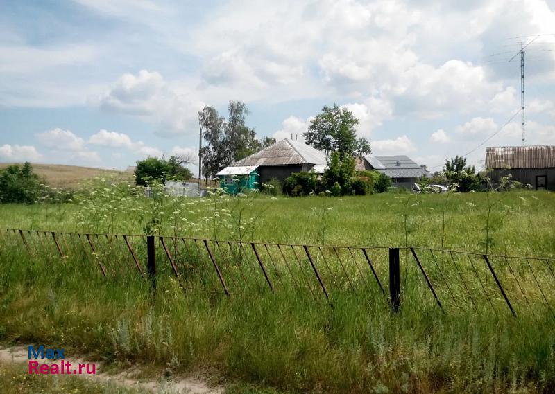 Петропавловка Острогожск, село Петропавловка продажа частного дома