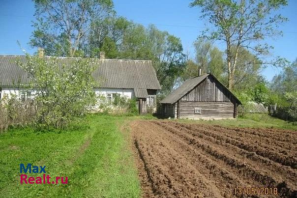 Сольцы деревня Выбити, Невская улица продажа частного дома