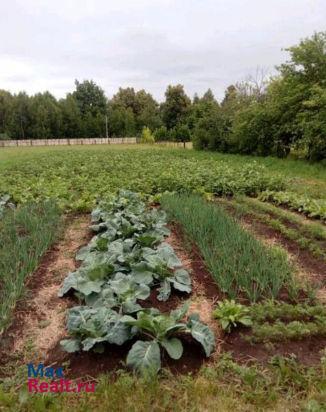 Моргауши село Перше Травня, Лесная улица продажа частного дома