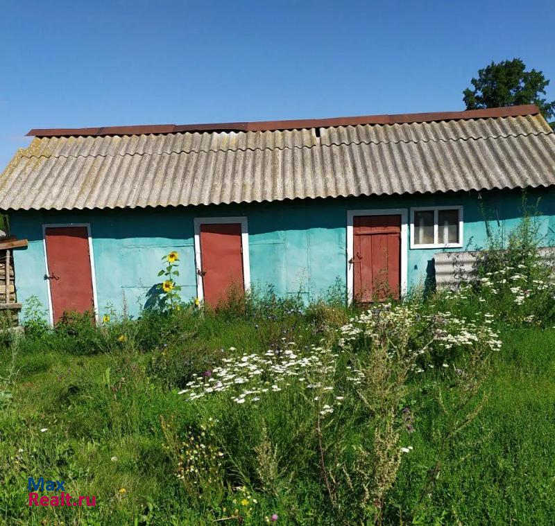 Инжавино село Красивка, Трудовая улица продажа частного дома