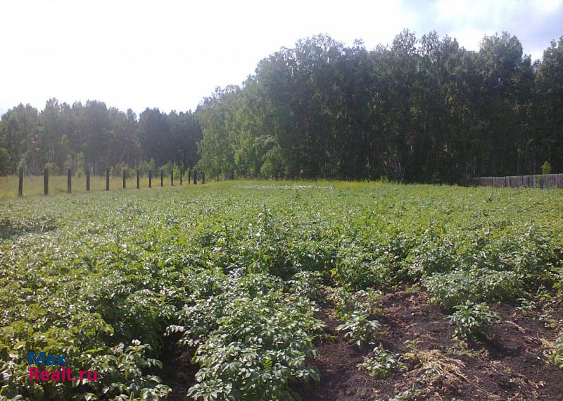 Партизанское село Партизанское, Советская улица, 39 частные дома