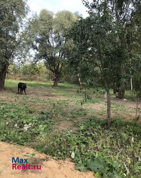 Бабынино село Сергиево продажа частного дома