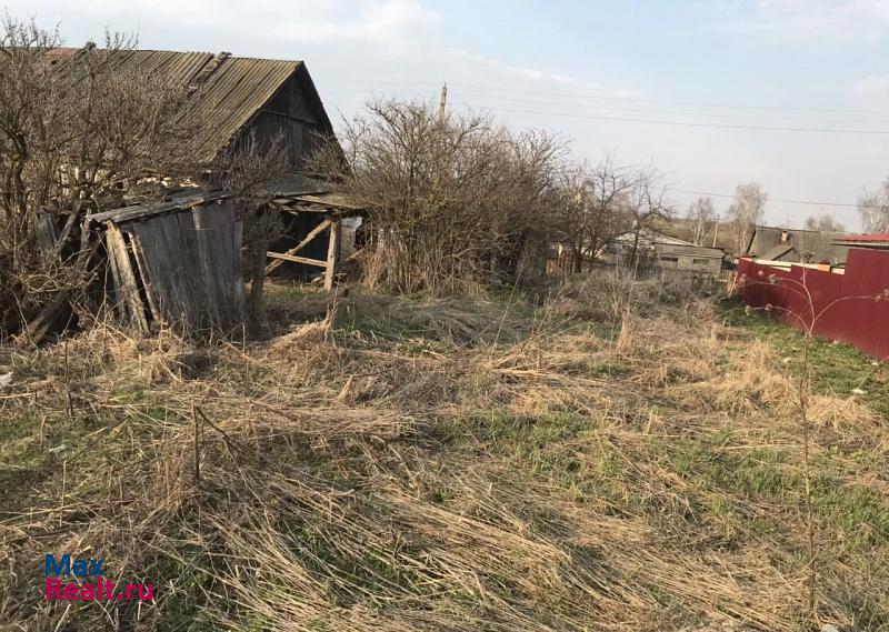 Локоть Брасовское сельское поселение, село Брасово, Комсомольский переулок продажа частного дома