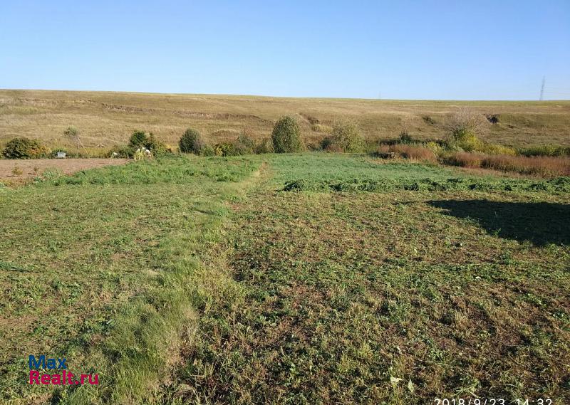 Пестрецы село, Пестречинский район, Шали продажа частного дома