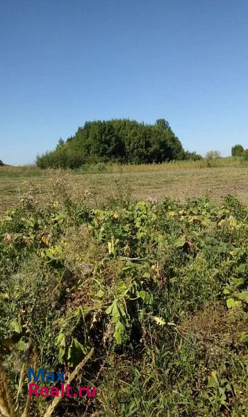 Засосна село Раздорное частные дома