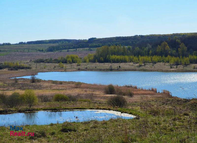 Гаврилов Посад Владимирская область, село Небылое, Луговая улица, 3 продажа частного дома