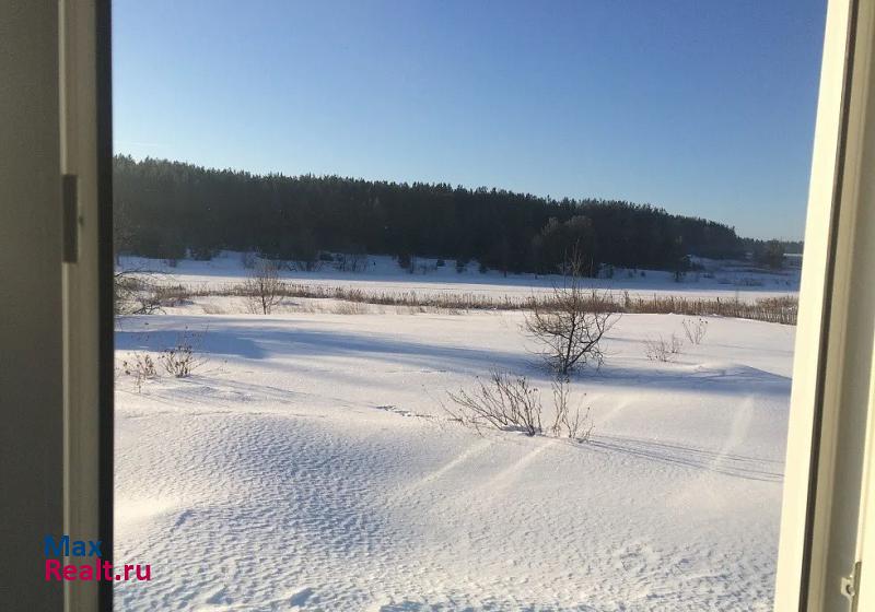 Петрокаменское село Киприно, Ключевая улица частные дома