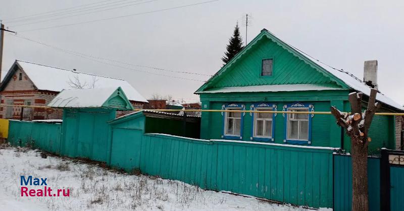 Арск Муниципальное образование город Арск, Светлая улица частные дома