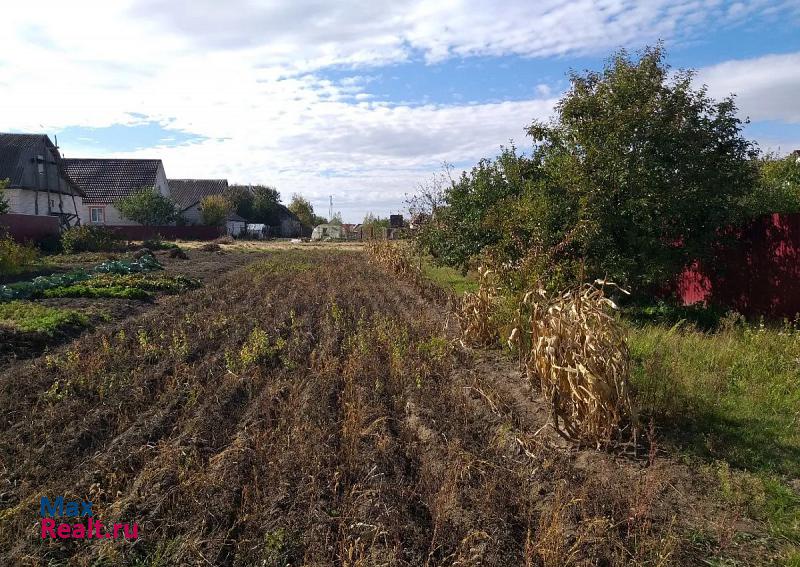 Погар посёлок Погар, улица Свободы, 19 продажа частного дома