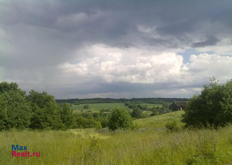 Невель деревня Хвошно, Городокский район продажа частного дома