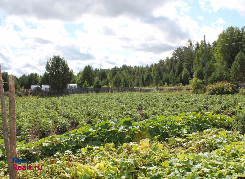 Лесосибирск поселок Новокаргино, Таёжная улица, 6 продажа частного дома