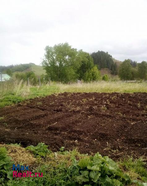 Кунгур Кунгурский район, село Калинино ул. Гагарина 17 продажа частного дома