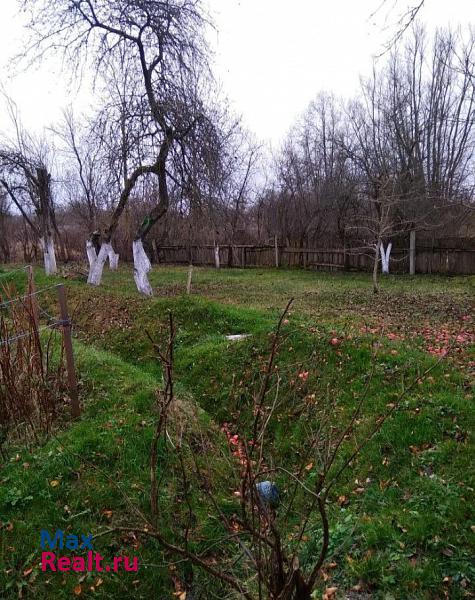 Черняховск поселок Липовка