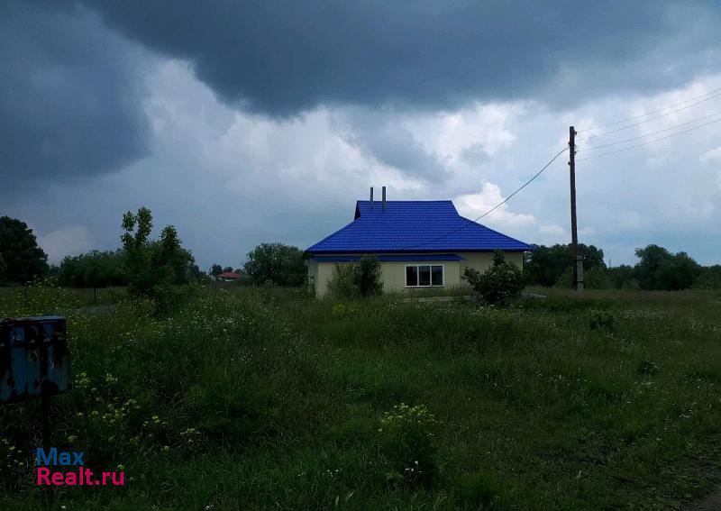 Краснозерское рабочий посёлок Краснозёрское, Заречная улица частные дома