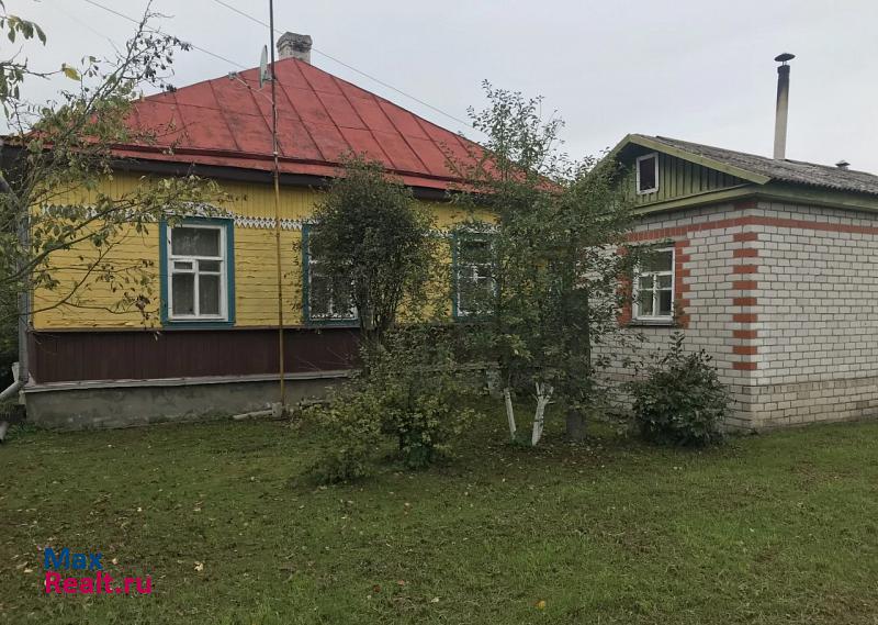 Красногородск посёлок городского типа, Красногородский район частные дома