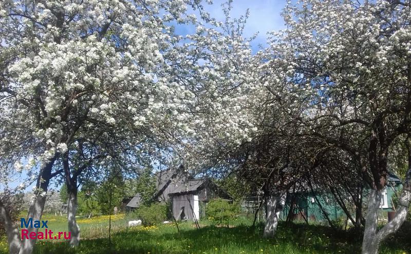 Новосокольники Великолукский район, деревня Мякотино частные дома