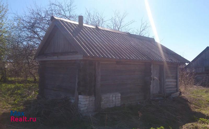 Лукоянов село, Лукояновский район, Салдаманово продажа частного дома