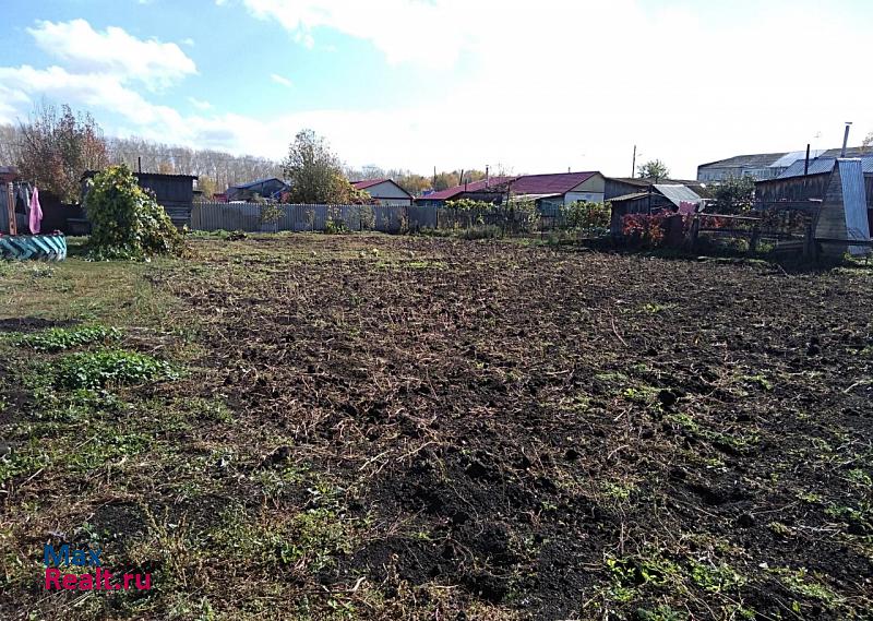 Зональное село Зональное, улица Гагарина, 20 продажа частного дома