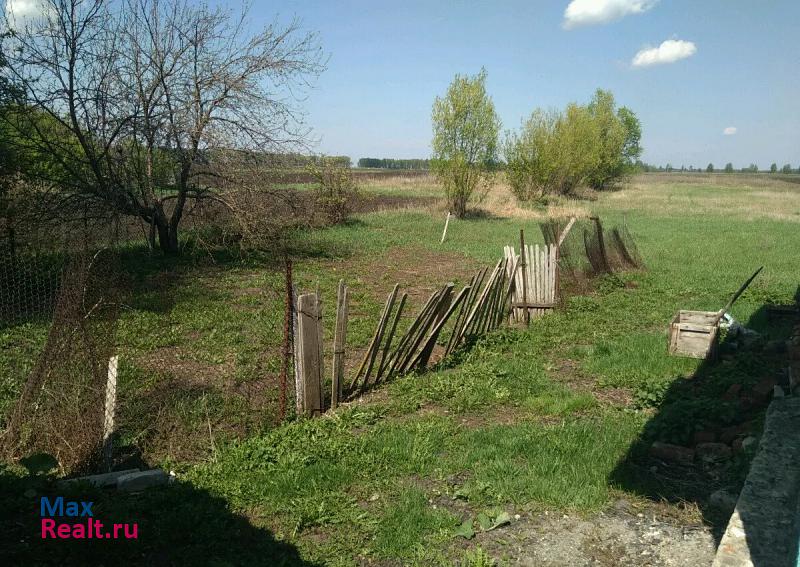 Первомайский Первомайский район, село Новоархангельское, Первомайская улица продажа частного дома