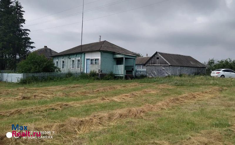 Горшечное Горшеченский район, село Богатырево частные дома