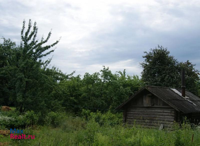 Красногородск деревня Кумордино продажа частного дома