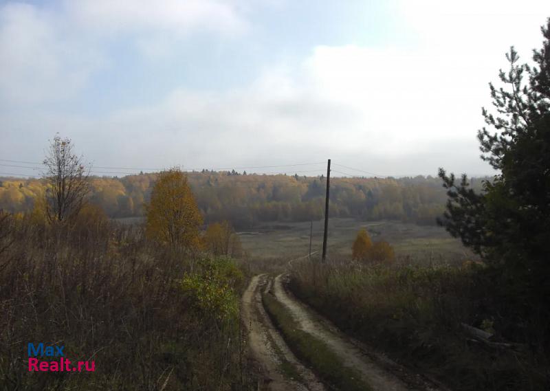 Богородское Владимирская область, Александровский район, деревня Звягины Горы частные дома