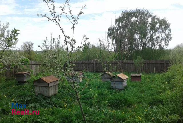 Алнаши Удмуртская Республика, деревня Кузебаево, Центральная улица частные дома