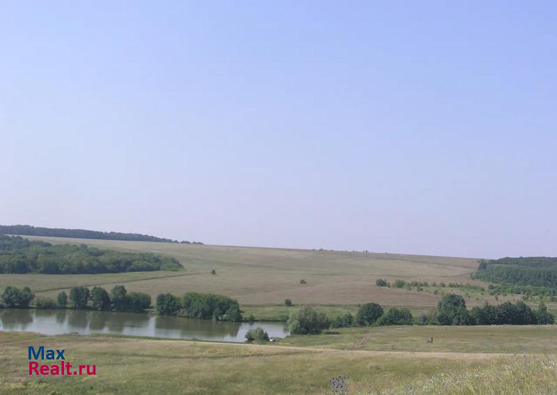 Новосемейкино село Чубовка частные дома