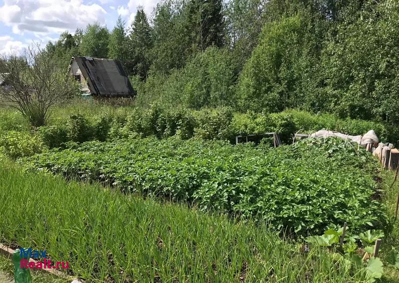 Березники муниципальное образование Город Березники дом