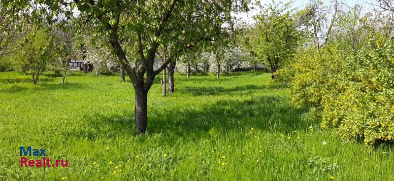 Раевская станица Раевская, Садовая улица частные дома