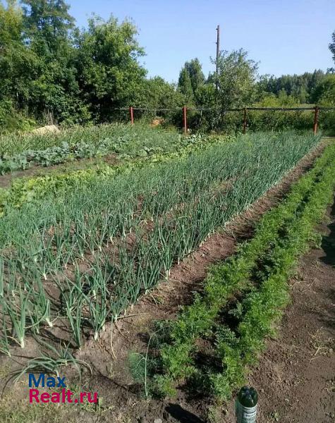 Сапожок Путятинский район, село Песочня, Комсомольская улица частные дома