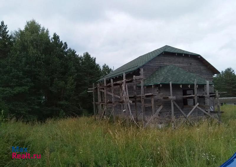 Пустошка деревня Долосцы частные дома