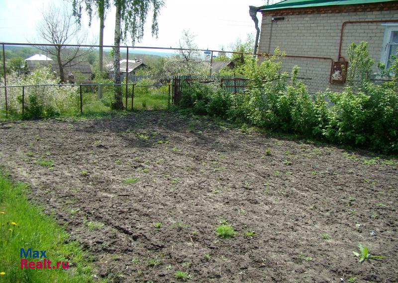 Репьевка село Репьёвка, переулок Мамкина частные дома