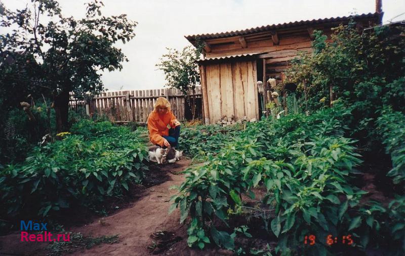 Болгар Ульяновская область, село Шмелевка, Культурная улица, 45 частные дома