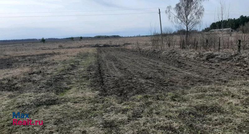 Савино деревня Высоково Большое частные дома