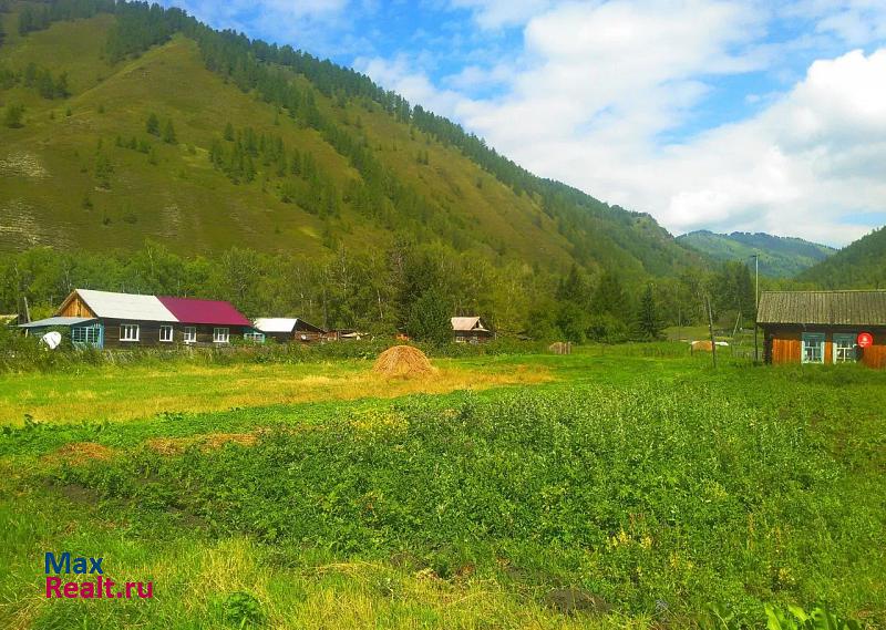 Усть-Кокса село Чендек частные дома