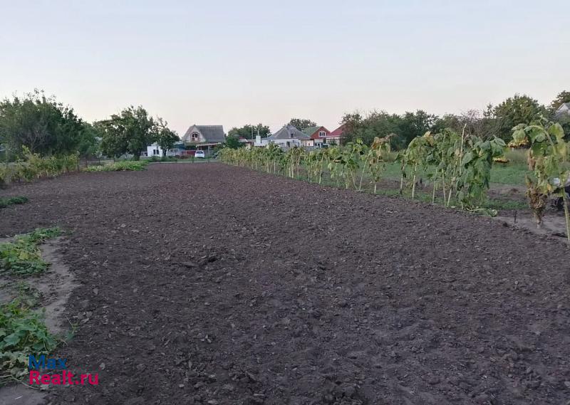 Курчанская станица Курчанская, улица Чапаева частные дома