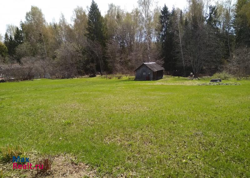 Пучеж Нижегородская область, деревня Корноухово частные дома