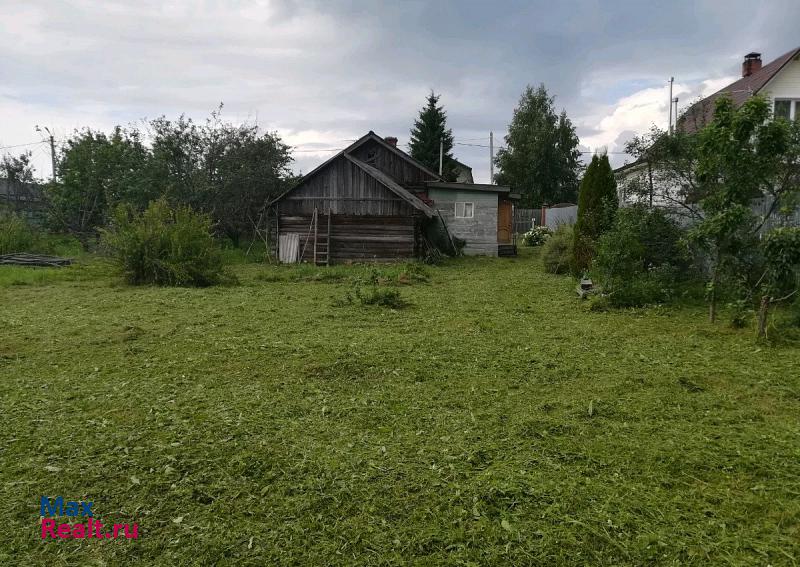 Некрасовское село Диево-Городище, Некрасовская улица, 25 частные дома