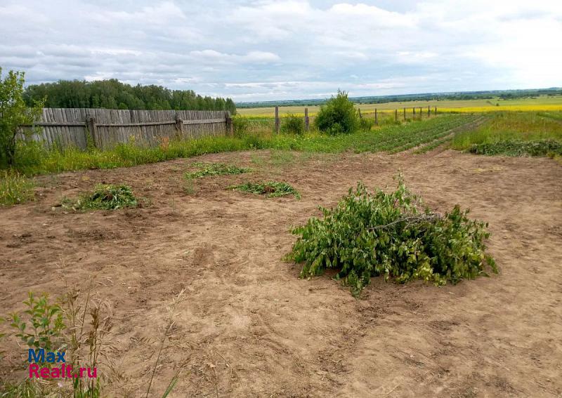 Йошкар-Ола село Цибикнур, Цибикнурская улица, 1 дом