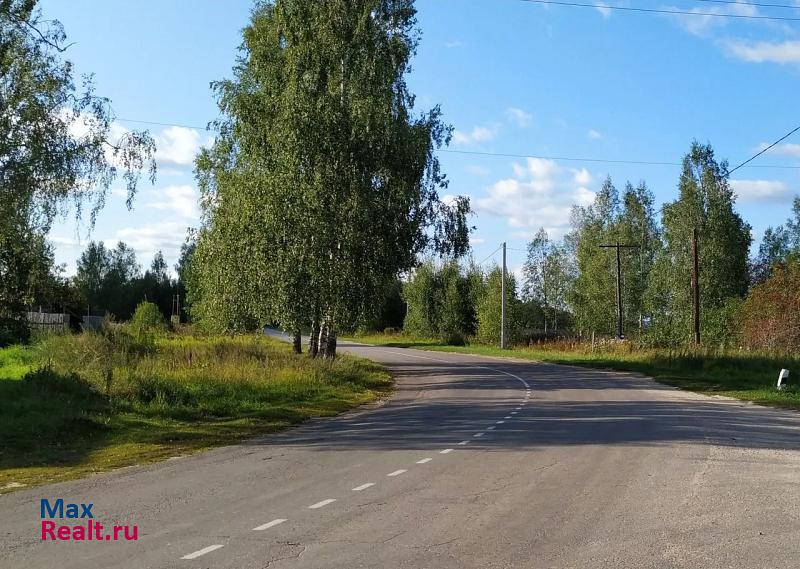 Дальнее Константиново деревня Александровка, Лесная улица частные дома