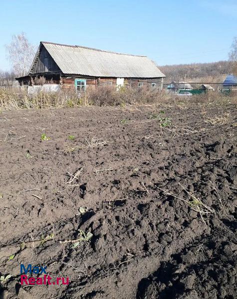 Мокшан сельское поселение Нечаевский сельсовет, село Нечаевка, Пролетарская улица частные дома