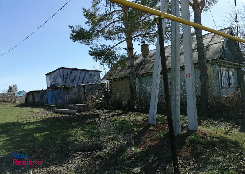 Мензелинск село Тулубаево частные дома