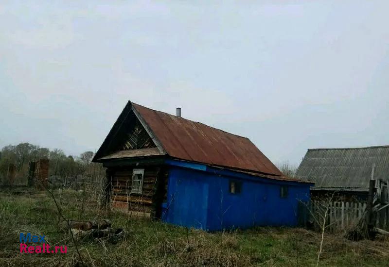 Мензелинск д. Салауши частные дома