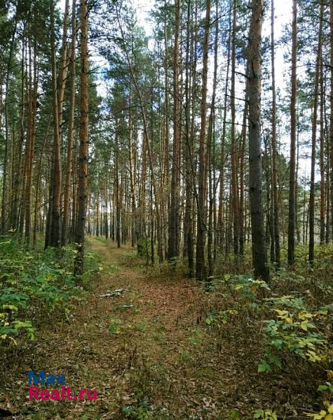 Долгодеревенское деревня Шигаево частные дома