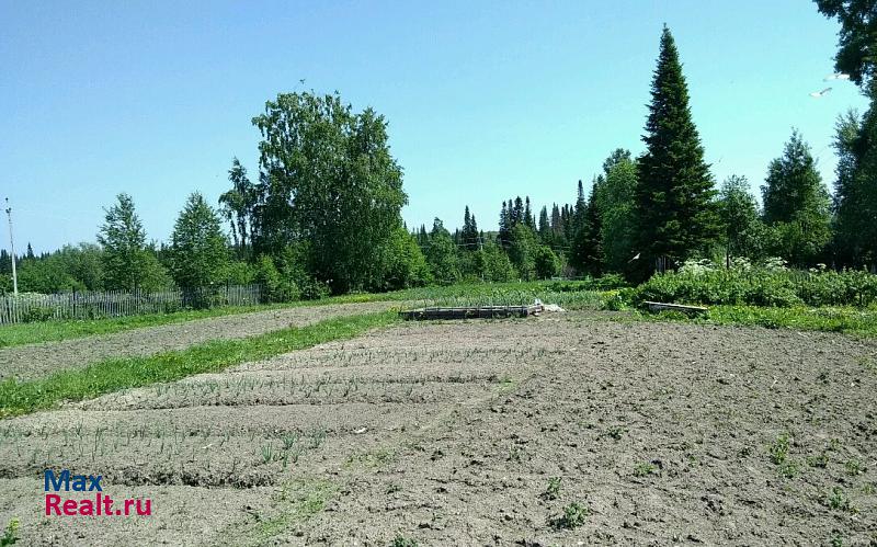 Тайга посёлок Таёжный, Прохладная улица частные дома